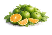 Green Madarian