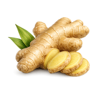Ginger