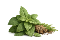 Patchouli and cedar