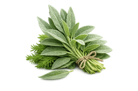Sage