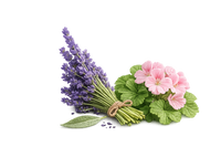 Lavender and geranium 