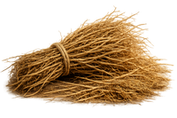 Vetiver