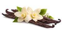 Vanilla