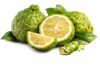 Bergamot