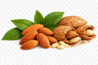 Bitter Almond