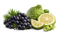 Juniper berries and bergamot