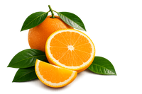 Citrus 